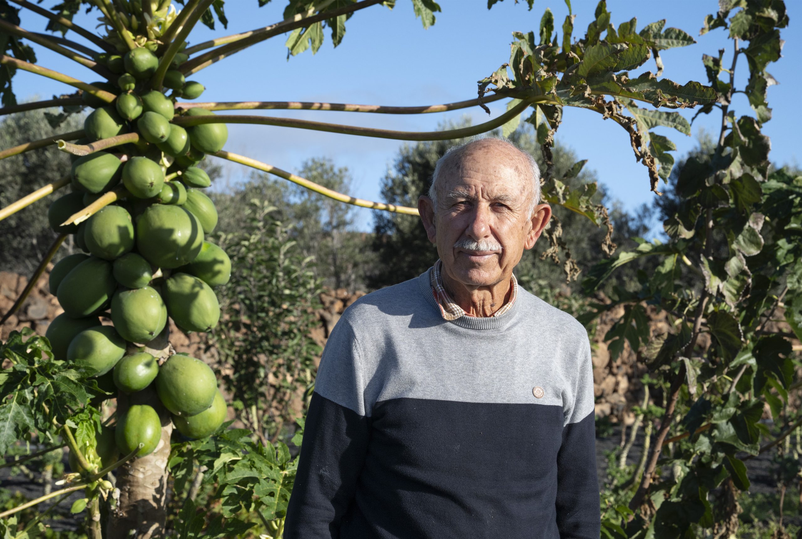 Manuel Peláez, agricultor: por qué el producto local no despega en Lanzarote
